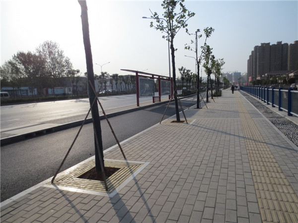 �ڲ�tengbo988-����Ϊ��רҵ����