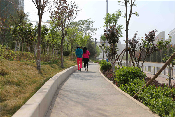 �ڲ�tengbo988-����Ϊ��רҵ����