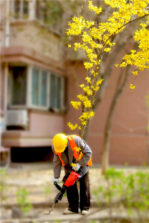 �ڲ�tengbo988-����Ϊ��רҵ����