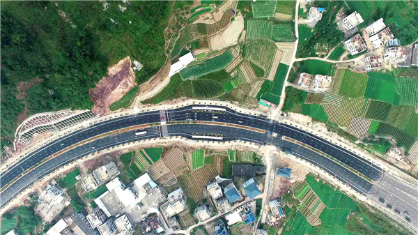 �ڲ�tengbo988-����Ϊ��רҵ����