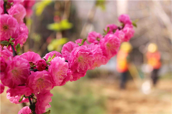 �ڲ�tengbo988-����Ϊ��רҵ����