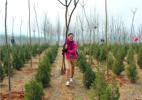 �ڲ�tengbo988-����Ϊ��רҵ����