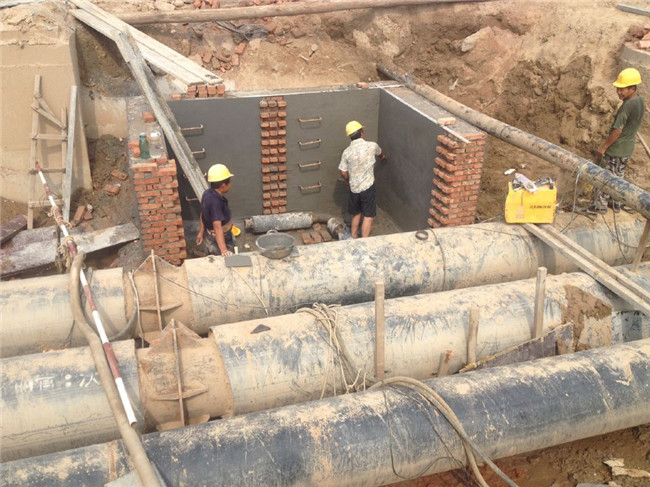 �ڲ�tengbo988-����Ϊ��רҵ����