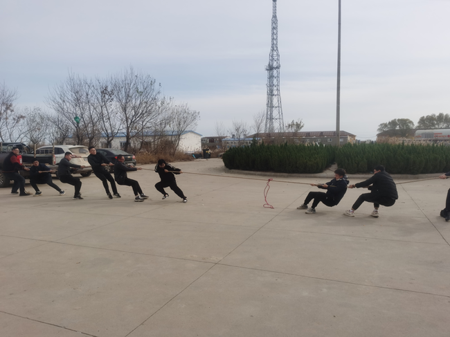 �ڲ�tengbo988-����Ϊ��רҵ����